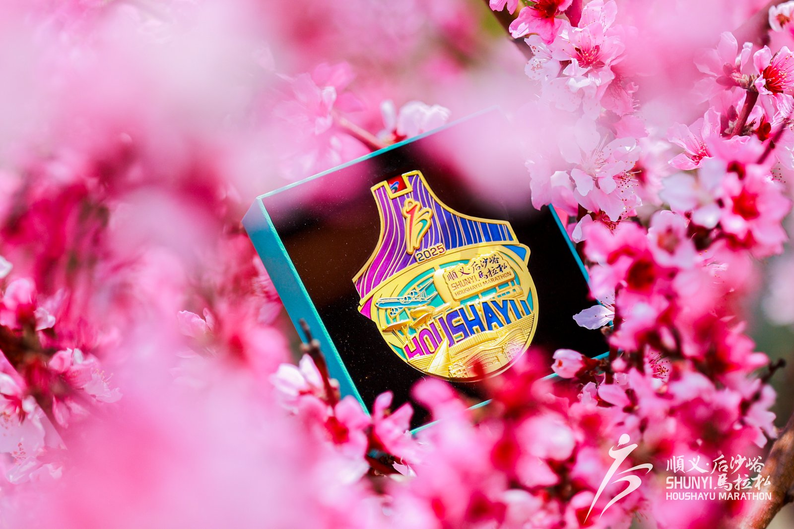 2_1600_3000_gif (1).jpg